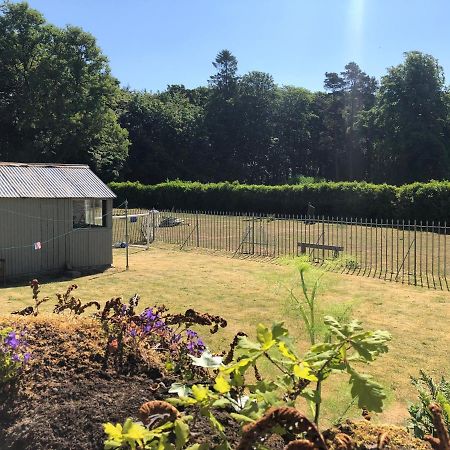 Laundry Cottage Ντάμφρις Εξωτερικό φωτογραφία